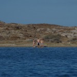 Kathi, Astrid und Norman schwimmen zum Strand