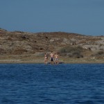 Kathi, Astrid und Norman schwimmen zum Strand