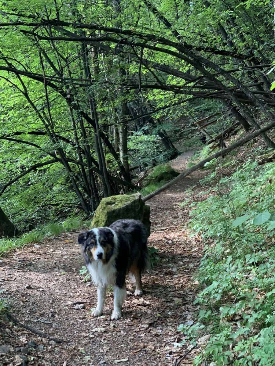 Tag 3 - Von Nales nach Kaltern