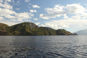 wir geniesen das Grün nach den vielen Felsen der Kykladen